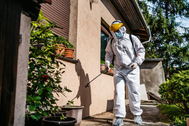 Best Best Pest Control Companies  in Bellville, TX